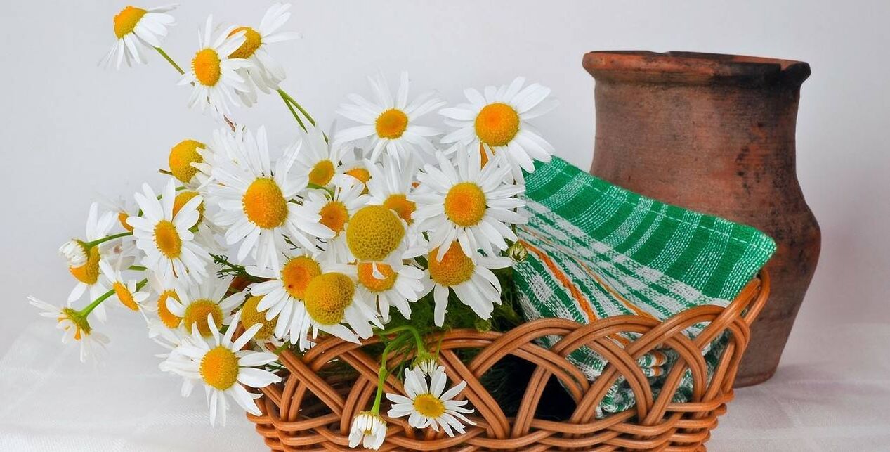 How to make face toner from chamomile flowers